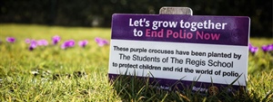 Purple For Polio