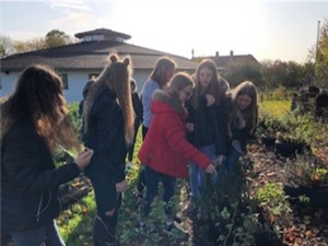 Visit to Tuppeny Barn, Organic Farm