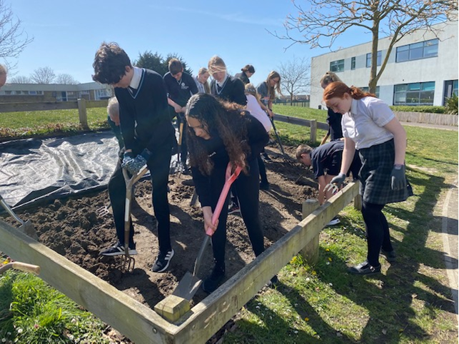 The A Team - Creating A New Student Garden