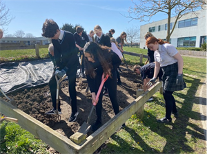 The A Team - Creating A New Student Garden