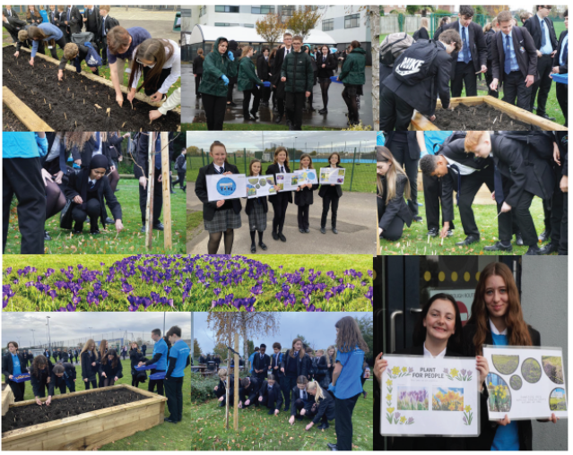 Improving the school environment one flower at a time